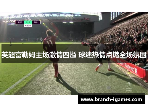 英超富勒姆主场激情四溢 球迷热情点燃全场氛围 英超富勒姆主场激情四溢 球迷热情点燃全场氛围