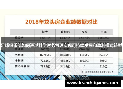 足球俱乐部如何通过科学财务管理实现可持续发展和盈利模式转型 足球俱乐部如何通过科学财务管理实现可持续发展和盈利模式转型