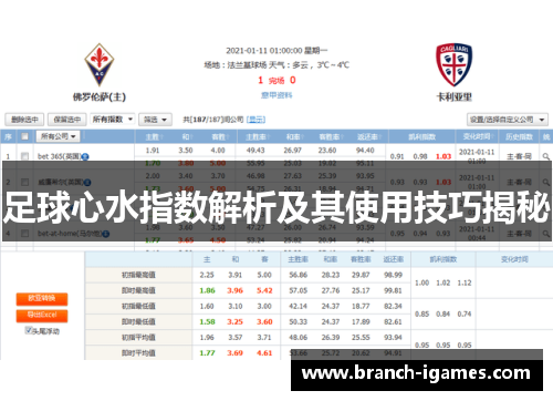 足球心水指数解析及其使用技巧揭秘 足球心水指数解析及其使用技巧揭秘