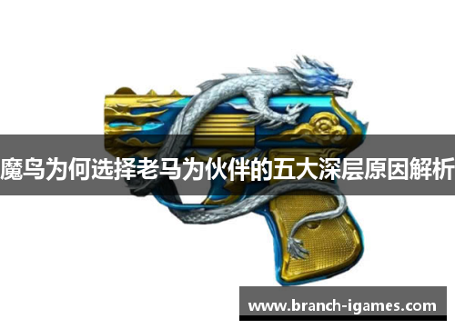 魔鸟为何选择老马为伙伴的五大深层原因解析