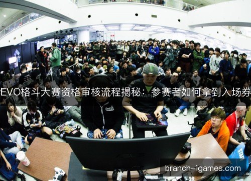 EVO格斗大赛资格审核流程揭秘：参赛者如何拿到入场券